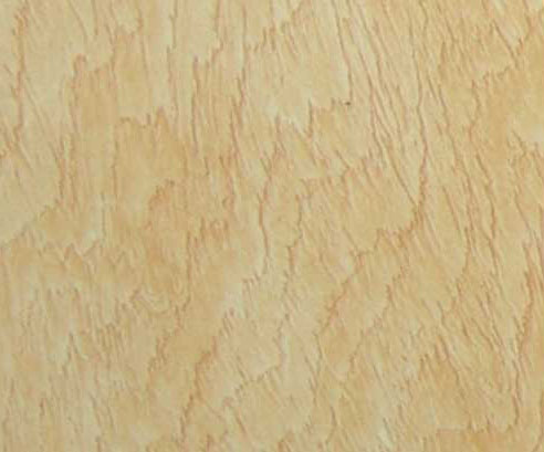 T2009-河北實(shí)木復(fù)合地板